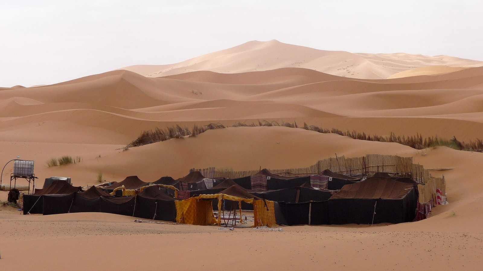 The camp's tents below the dunes
