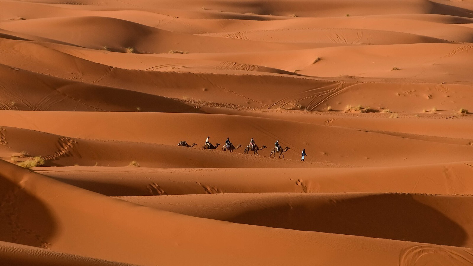 A camel caravan crossing the dunes