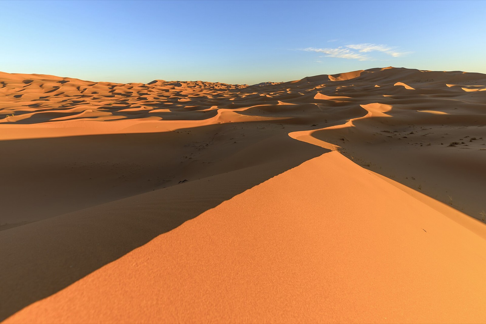 Late sun across the dune ridges of Erg Chebbi