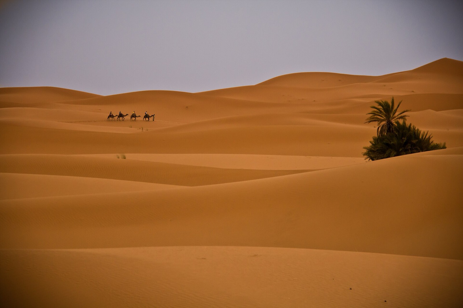 Dunes, placeholder for the Deluxe Quadruple