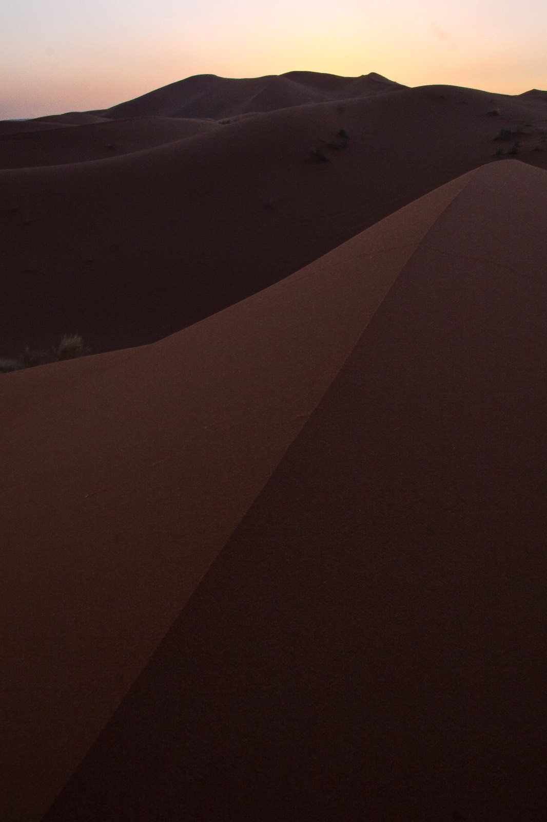 Dunes, placeholder for the Double tent