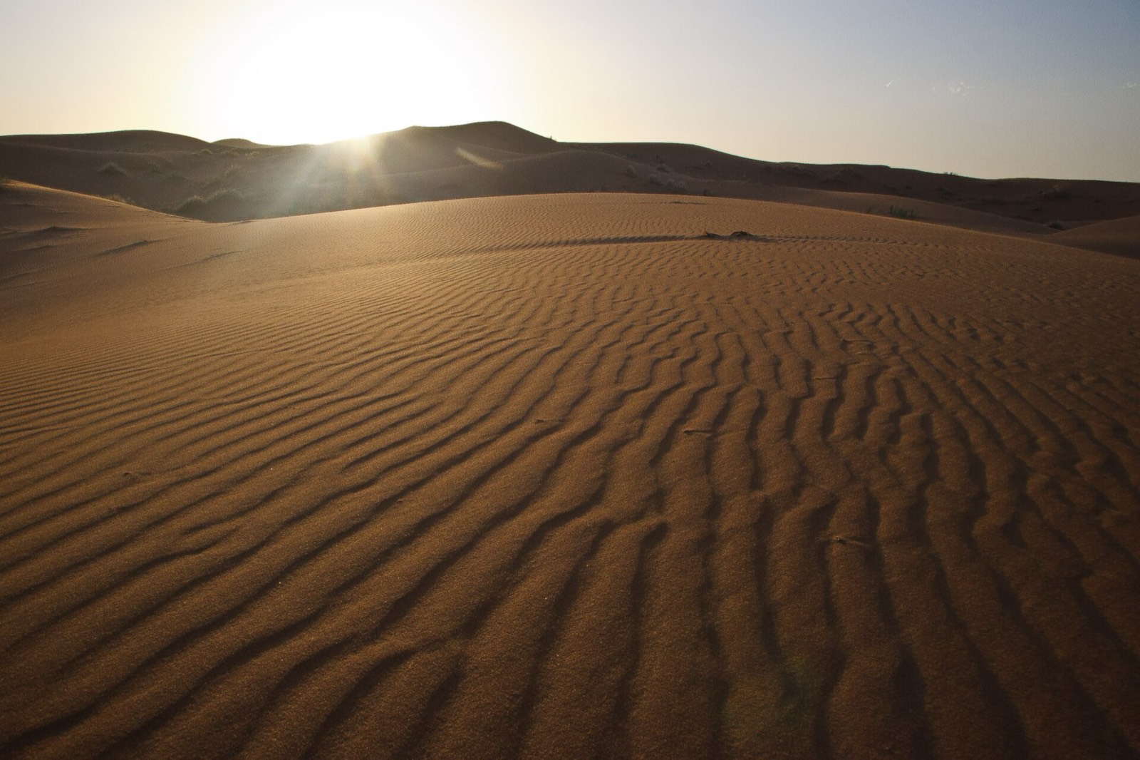 Sunlit dune ridge