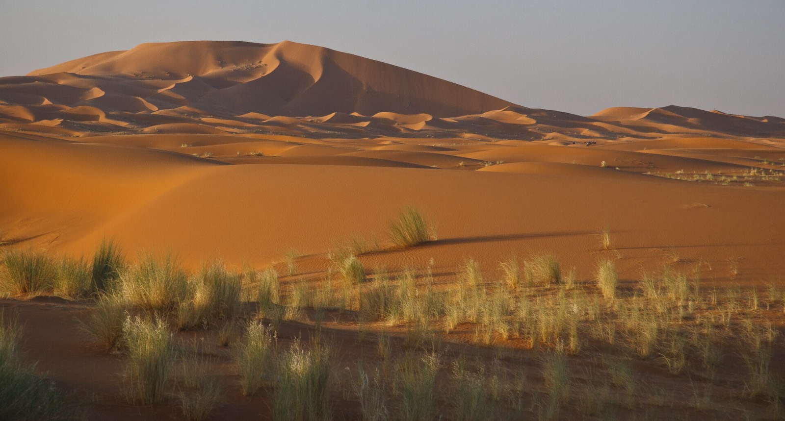 Wide dunes